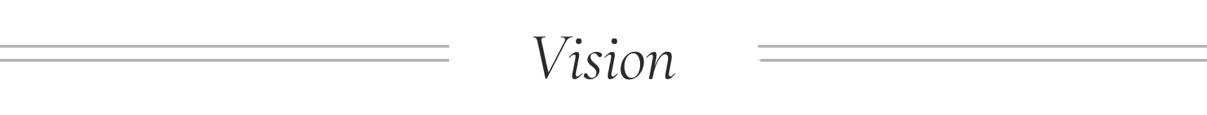Vision